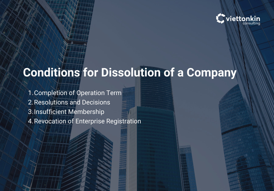 Viettonkin Consulting